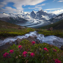 summer, blooms, british columbia, boundary range, glacier