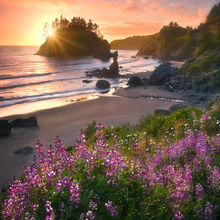 Beach Garden (2007)
