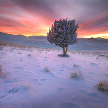 Chosen One, Owyhee, Oregon