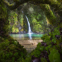 Falls Island