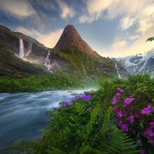 Fjordland
