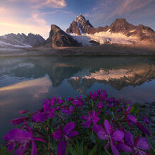 Flower Pond