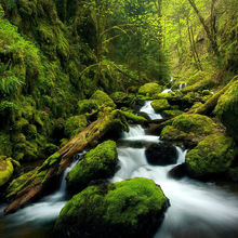 Green Canyon Cascades (2005)