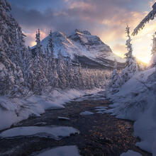 From Winter Onward