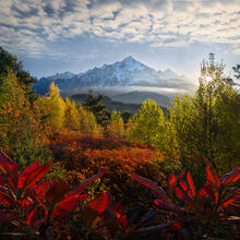Georgia, Caucasus, mountains, Svaneti, autumn, fall, colors