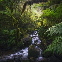Fiordlands, New Zealand, waterfall, wildereness