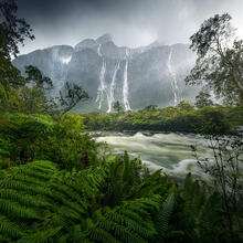Jungle Falls