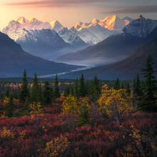 Layers of Autumn