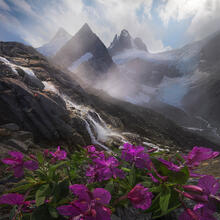 Alaska, glacier, mountains, steep, jagged, boundary range, summer, snow, wildflowers, meadow, stream