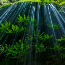 Maiden Shower - Eagle Creek, Oregon