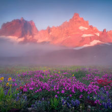Mist Mountain Colors (2006)