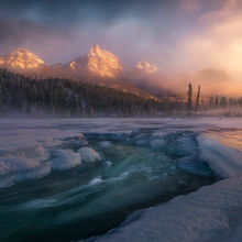 Misty Cold