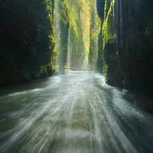 Oneonta Rain (2010)