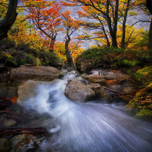 Patagonian Autumn (2013)