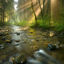 Radiance, Rock Creek Wilderness, Oregon