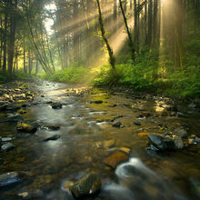 Radiance (2005)
