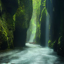 Rainforest Canyon (2010)