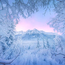 Snow Land