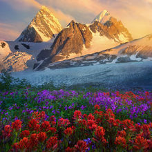 Summer Wilderness (2011)