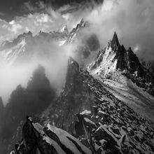 The Clearing