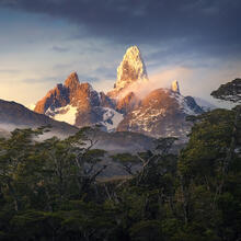 The Lost World