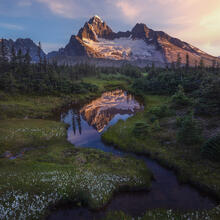 Winding Meadows