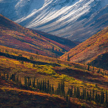 Winter Coming (2013)
