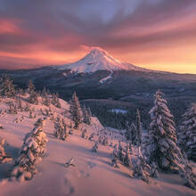 Winter's Grace