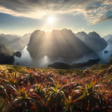 Wonder of the Fiords