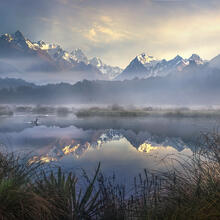 Fiordland Pond