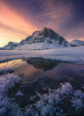 Color on the Cold (2011)