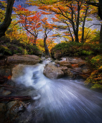 Patagonian Autumn (2013)