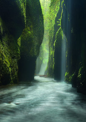 Rainforest Canyon (2010)