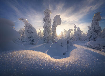 Sparkling Snow