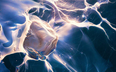Water Current (2010)