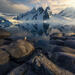 A Penguin's Paradise