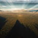 Anticrepuscular