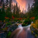 Autumn Show, Rogue River, Oregon