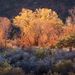 Desert Valley Rainbow (2010)