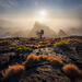 Down towards the Sun