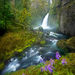 Early Spring Falls, Wachella Creek, Oregon