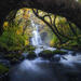 Fjord Falls in Fall