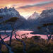 Fjords Fire