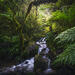 Inward Journey