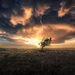 Light and the Wind