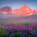 Mist Mountain Colors (2006)