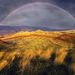 Rainbow Hills (2008)