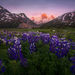 Endless Beauty (2007) | Jasper National Park, Alberta | Marc Adamus ...