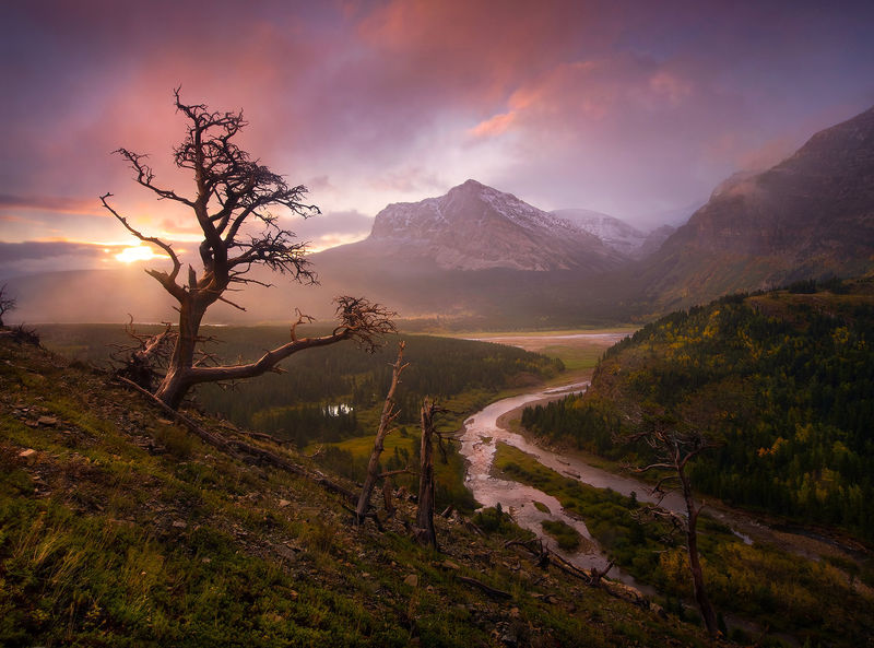 Seasons Gone By (2008) Glacier National Park, Montana Marc Adamus