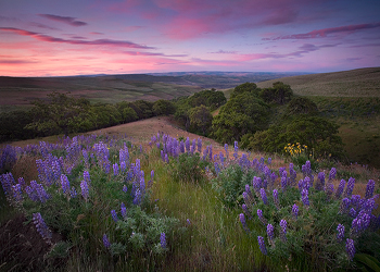 Columbia Hills